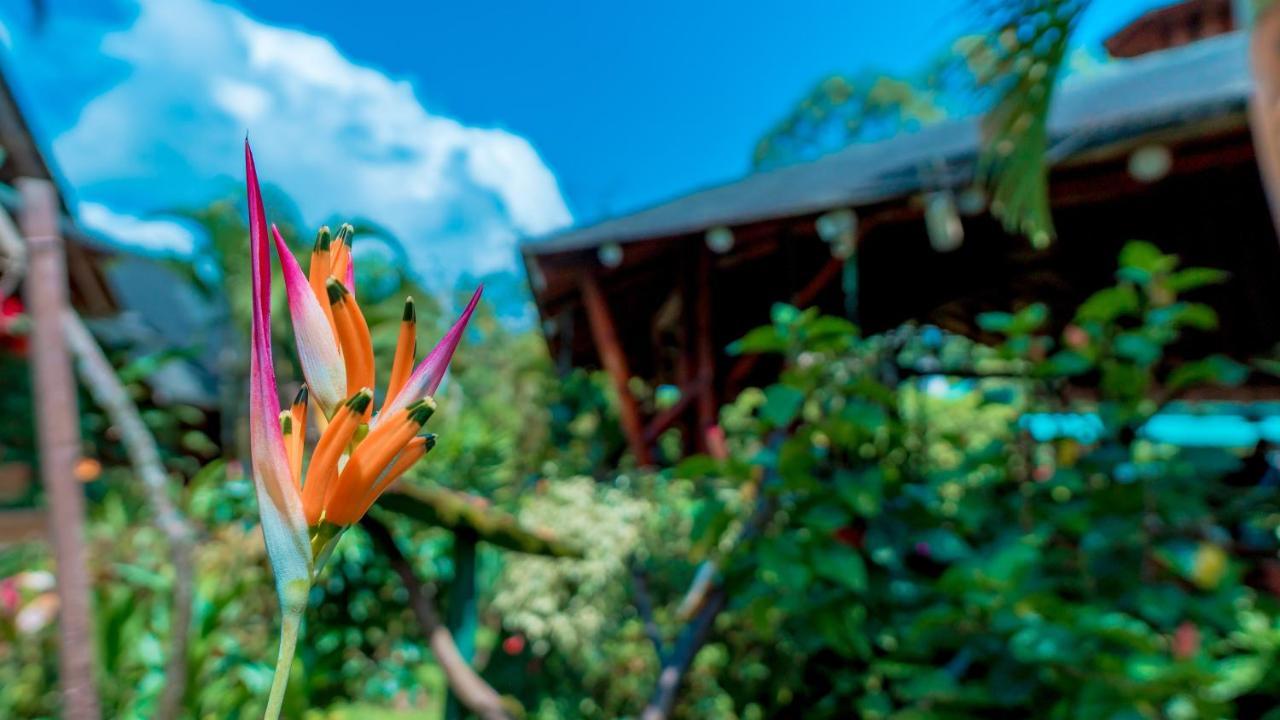 Sisakuna Lodge Mindo Bagian luar foto